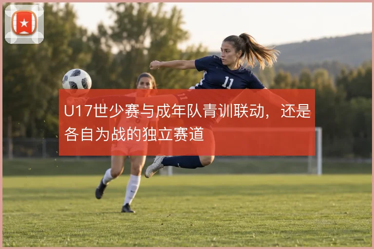 U17世少赛与成年队青训联动，还是各自为战的独立赛道